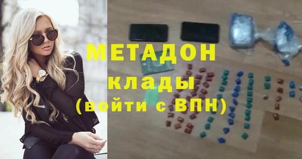 стаф Алзамай